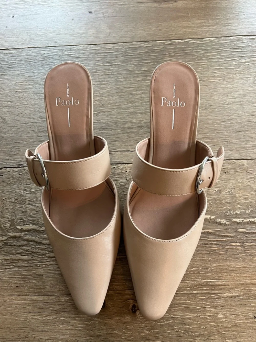 Paolo Blush Beige Pointed-Toe Buckle Mules - Picture 4 of 9
